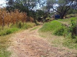 Terrain à vendre à Tlajomulco De Zuniga, Jalisco, Tlajomulco De Zuniga