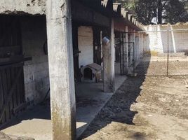 4 Schlafzimmer Haus zu verkaufen in Alvaro Obregon, Mexico City, Alvaro Obregon