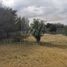  Land for sale in Juarez, Nuevo Leon, Juarez