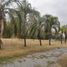  Land for sale in Juarez, Nuevo Leon, Juarez