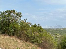  Land for sale in Cartagena, Bolivar, Cartagena