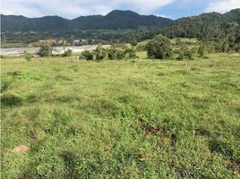  Terreno (Parcela) en venta en La Ceja, Antioquia, La Ceja