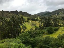  Grundstück zu verkaufen in Loja, Loja, Loja, Loja, Loja
