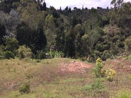 Terrain à vendre à Rionegro, Antioquia, Rionegro, Antioquia