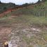 Terrain à vendre à Rionegro, Antioquia, Rionegro, Antioquia