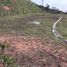 Terrain à vendre à Rionegro, Antioquia, Rionegro, Antioquia