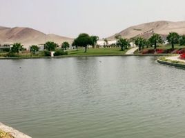 在Asia, Cañete出售的 土地, Asia