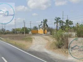 Land for sale in Montemorelos, Nuevo Leon, Montemorelos