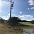  Land for sale in Montemorelos, Nuevo Leon, Montemorelos