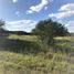 Land for sale in Montemorelos, Nuevo Leon, Montemorelos