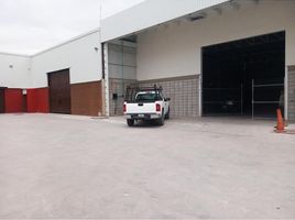 416 平米 Office for rent in Coahuila, Torreon, Coahuila