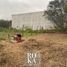  Land for sale in Emiliano Zapata, Veracruz, Emiliano Zapata