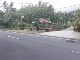  Tanah for sale in Jembrana, Bali, Negara, Jembrana