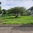  Terreno (Parcela) en venta en Citeureup, West Jawa, Citeureup, Bogor