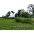  Land for sale in Monteria, Cordoba, Monteria