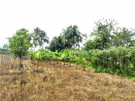  Land for sale in Monteria, Cordoba, Monteria