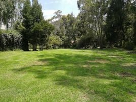  Terreno (Parcela) en venta en Bicentenario Park, Quito, Quito, Quito