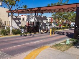 Appartement 3 chambre à vendre à Zapopan, Jalisco, Zapopan