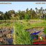  Tanah for sale in Tampak Siring, Gianyar, Tampak Siring