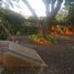 633 m² Office for rent in Mexiko, Cuernavaca, Morelos, Mexiko
