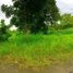  Land for sale in Cavite, Calabarzon, Alfonso, Cavite