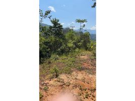  Terreno (Parcela) en venta en San Martín, Tarapoto, San Martín, San Martín