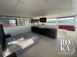 1 Bedroom Apartment for rent in Coatepec, Veracruz, Coatepec