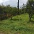  Land for sale in Malang Regency, East Jawa, Karangploso, Malang Regency