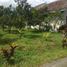  Land for sale in Malang Regency, East Jawa, Karangploso, Malang Regency