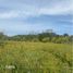  Terreno (Parcela) en venta en Santiago Ixcuintla, Nayarit, Santiago Ixcuintla