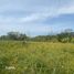  Terreno (Parcela) en venta en Santiago Ixcuintla, Nayarit, Santiago Ixcuintla