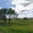 Terrain à vendre à Tlajomulco De Zuniga, Jalisco, Tlajomulco De Zuniga