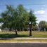  Grundstück zu verkaufen in Torreon, Coahuila, Torreon