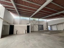 Estudio Casa en alquiler en Ciudad de México, Cuajimalpa De Morelos, Ciudad de México
