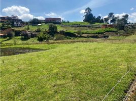  Land for sale in Rionegro, Antioquia, Rionegro
