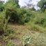  Land for sale in Kalasan, Sleman, Kalasan