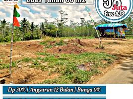  Tanah for sale in Malang Regency, East Jawa, Kepanjen, Malang Regency