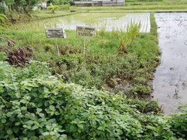  Land for sale in Pajangan, Bantul, Pajangan