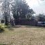 Maison 9 chambre à vendre à Ngamprah, West Jawa, Ngamprah