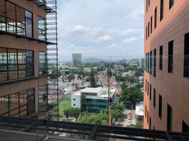 264 m2 Office for rent in Zapopan, Jalisco, Zapopan