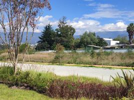  Terreno (Parcela) en venta en Tumbaco, Pichincha, Tumbaco