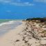  Grundstück zu verkaufen in Celestun, Yucatan, Celestun