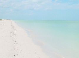  Grundstück zu verkaufen in Celestun, Yucatan, Celestun
