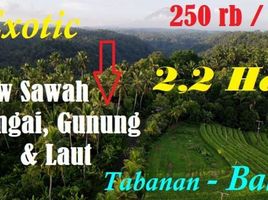  Land for sale in Selemadeg, Tabanan, Selemadeg