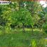  Land for sale in Selemadeg, Tabanan, Selemadeg