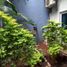 6 Bedroom House for rent in Del Centro, Oaxaca, Del Centro