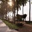  Apartamento en venta en Chicxulub Pueblo, Yucatán, Chicxulub Pueblo, Yucatán