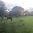  Land for sale in Coatlan Del Rio, Morelos, Coatlan Del Rio