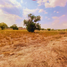  Terreno (Parcela) en venta en San Agustin Tlaxiaca, Hidalgo, San Agustin Tlaxiaca
