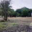  Terreno (Parcela) en venta en Cancún, Quintana Roo, Cancún